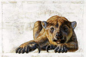 Старовинні короткі леви могли піднятися на дерева Старовинні короткі леви могли піднятися на дерева